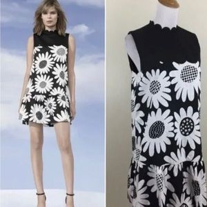 BLACK AND WHITE DAISY PRINT DRESS SCALLOP NECK LINE SIZE MEDIUM DROP WAIST NEW